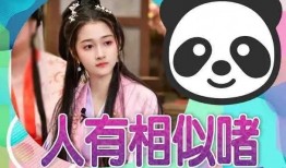 吃瓜星娱乐越南,揭秘“吃瓜星”背后的故事