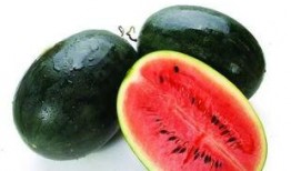 东北吃瓜网红叫什么名字,揭秘“瓜王”背后的故事