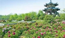 洛阳植物园爆料事件视频,揭秘园内惊人真相
