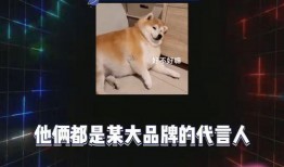 吃瓜今日娱乐爆料最新,明星幕后故事大揭秘！