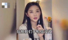 女网红新爆料视频大全,揭秘娱乐圈幕后真相
