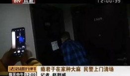 圈内人爆料录音门,圈内人爆料揭露惊人内幕