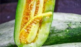 四川吃瓜网红是谁