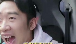 明星爆料 合集视频,独家视频合集深度解析