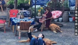 和平花园爆料事件真相视频