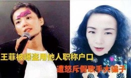 大婶爆料视频大全最新版,揭秘生活百态，笑料横生