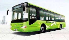 张家口公交车爆料新闻