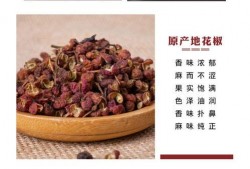 龙虾酱料供应商爆料视频,独家爆料视频曝光内幕