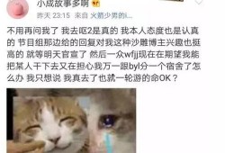 参哥被人爆料是哪一集视频,参哥被爆料真相，竟是这一集视频引发的轩然大波！