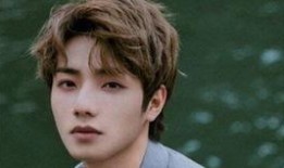 李振宁每日爆料视频大全,揭秘娱乐圈幕后故事