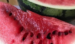 黑料吃瓜爆料网红精品一区,黑料吃瓜背后的真相与内幕