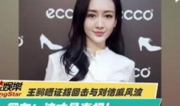 周恬朋友爆料是真的吗视频,周恬朋友爆料视频真实性揭秘