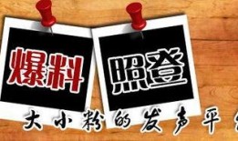 如何爆料新闻媒体,媒体如何捕捉与传播热点事件