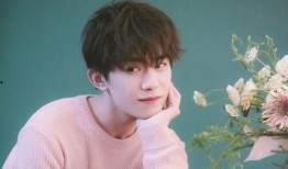 明星大爆料任国超视频,任国超视频背后的惊人真相