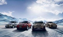 苏州宝马爆料事件视频,豪车维权背后的真相揭露